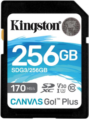 Изображение Карта памяти Kingston SDXC Class 10 256 Гб  SDG3/256GB